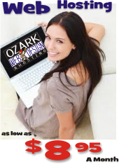 ozark web design hosting sidebar